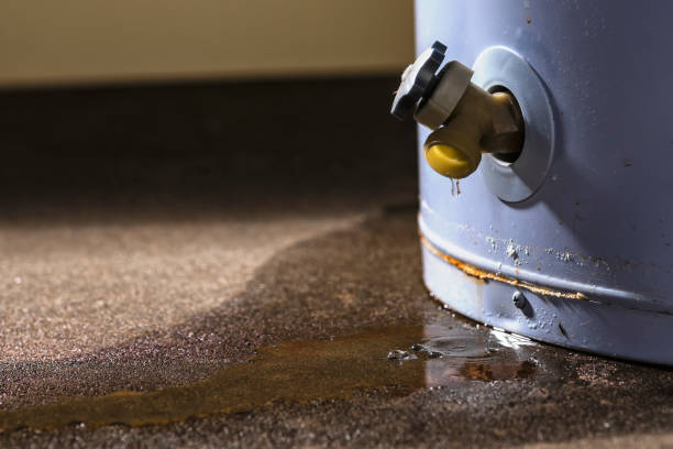 Trusted Loma Rica, CA Water damage restoration Experts
