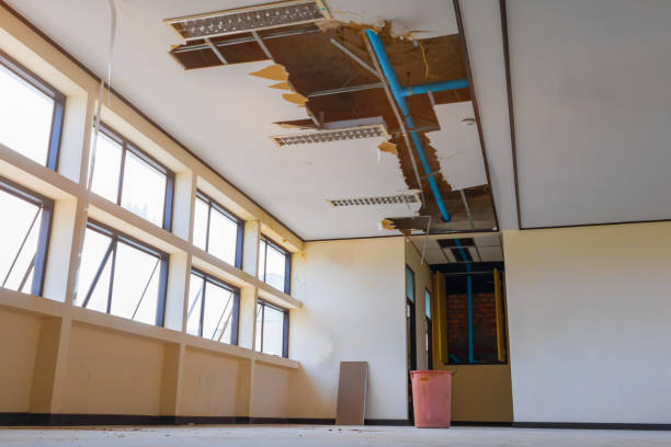 Best Water damage contractors near me  in Loma Ri, CA