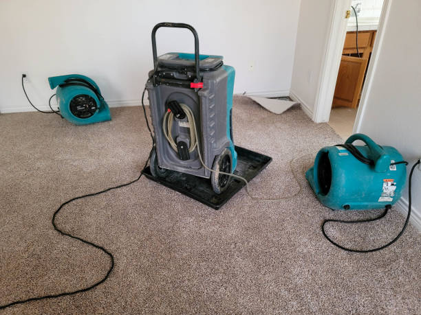 Best Water damage restoration insurance claims  in Loma Ri, CA