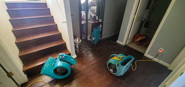 Best Commercial water damage restoration  in Loma Ri, CA
