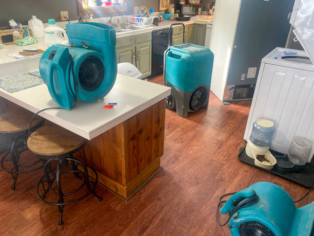 Water damage restoration mold remediation in Loma Rica, CA