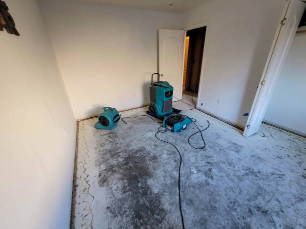 Best Emergency water damage restoration  in Loma Ri, CA