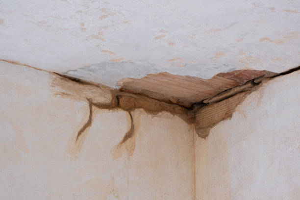Best Flood damage cleanup  in Loma Ri, CA