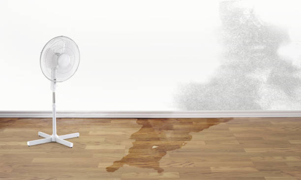 Best Flooded house restoration  in Loma Ri, CA