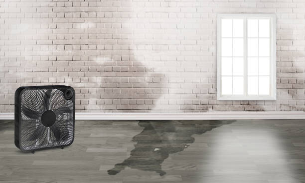 Best Flood restoration services  in Loma Ri, CA
