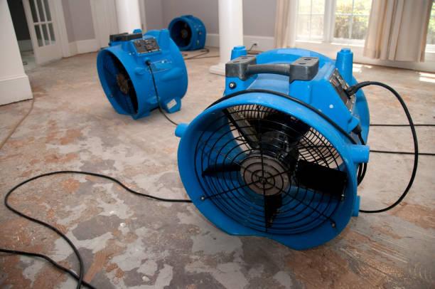 Best Local water damage restoration  in Loma Ri, CA