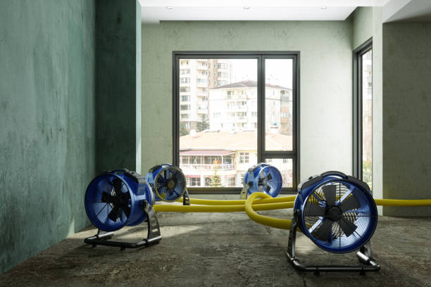 Trusted Loma Rica, CA Water damage restoration Experts